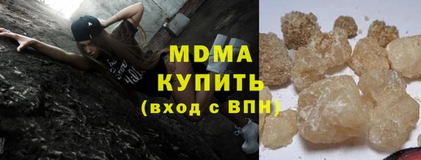 шишки Аркадак