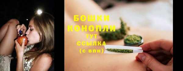 шишки Аркадак