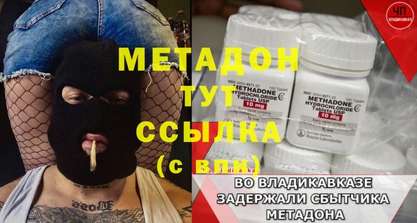шишки Аркадак