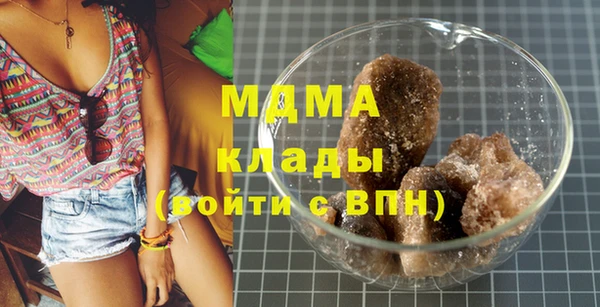 шишки Аркадак