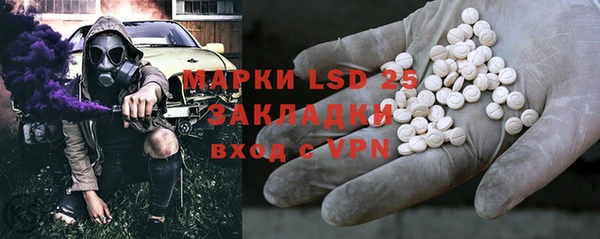 шишки Аркадак