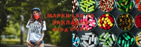 шишки Аркадак
