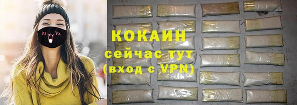 шишки Аркадак